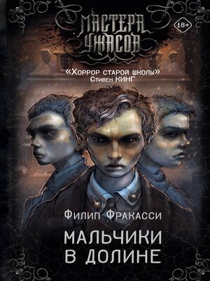 cover image of Мальчики в долине